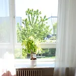 民宿 Messewohnenaschheim Business Und Mit Balkon Bei Messe Muenchen 阿什海姆
